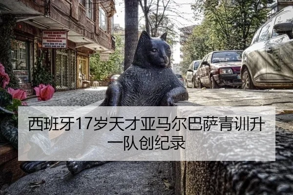 xi-ban-ya-sui-tian-cai-ya-ma-er-ba-sa-qing-xun-sheng-yi-dui-chuang-ji-lu-3-532.jpg