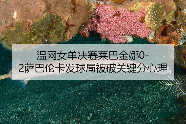 wen-wang-nv-dan-jue-sai-lai-ba-jin-na-sa-ba-lun-ka-fa-qiu-ju-bei-po-guan-jian-fen-xin-li-3-978.jpg