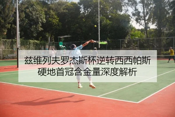 zi-wei-lie-fu-luo-jie-si-bei-ni-zhuan-xi-xi-pa-si-ying-di-shou-guan-han-jin-liang-shen-du-jie-xi-3-611.jpg